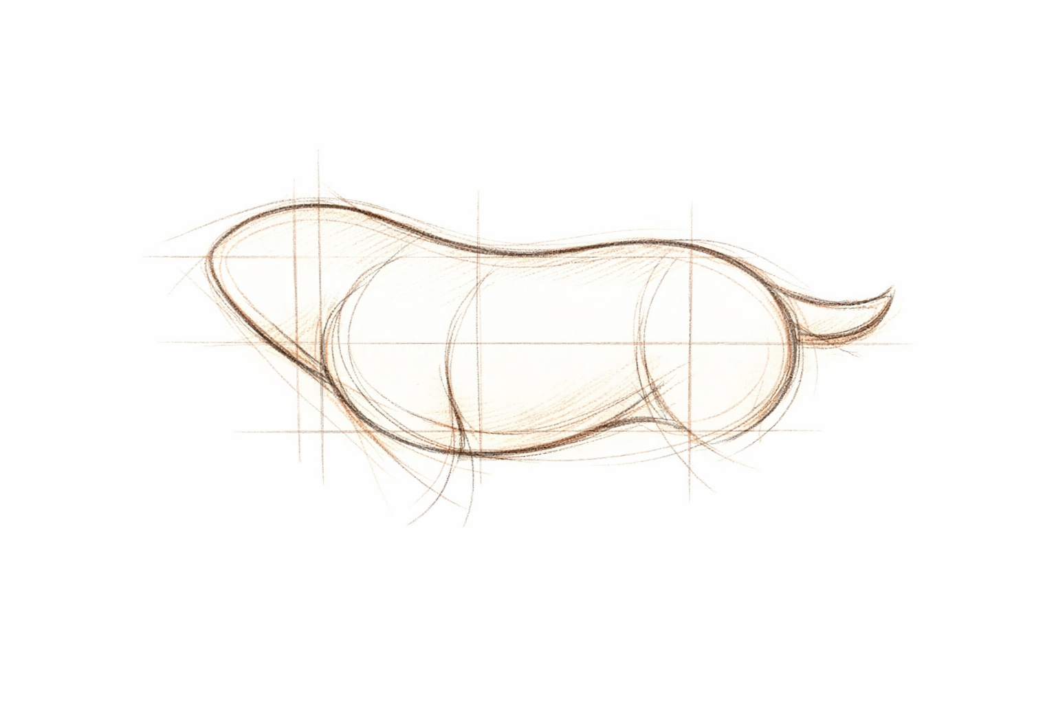 The oval is refined into a natural back, chest, and belly with a small tail added.