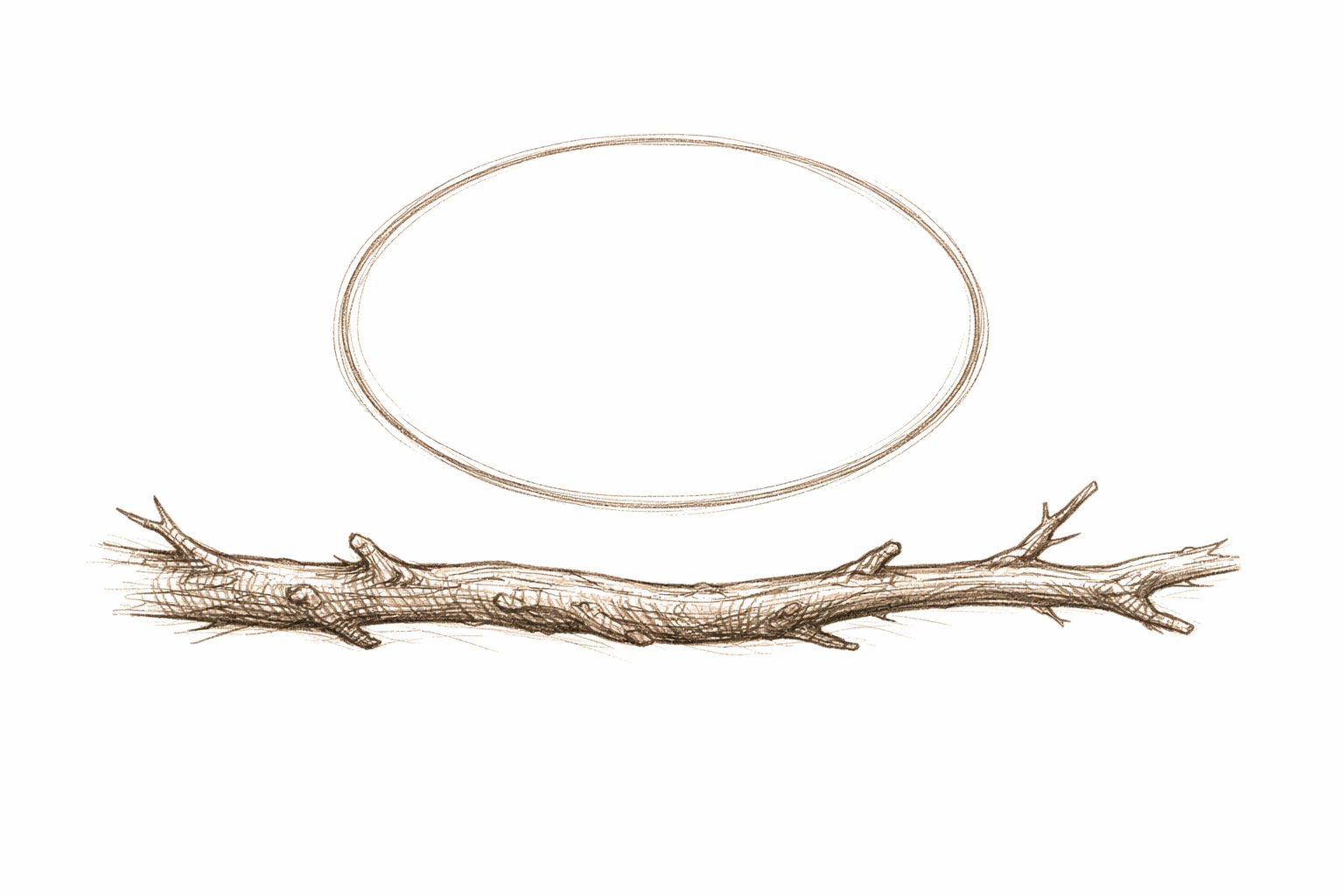 Curved branch drawn under the owl’s body with room for feet.